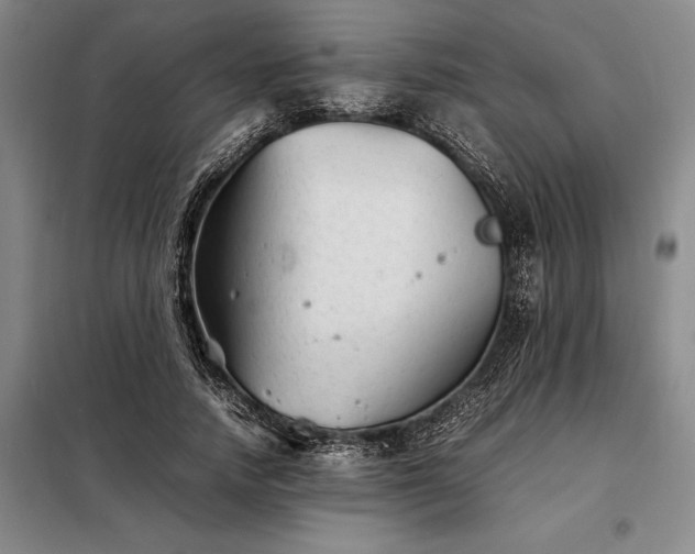 X0000098220738200805011234