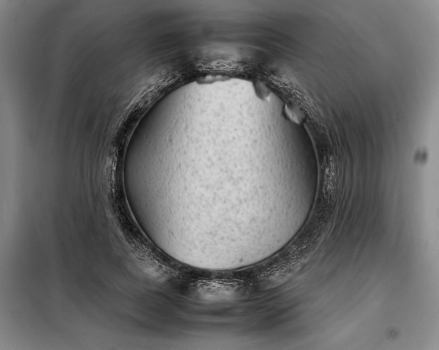 X0000098220739200805011234