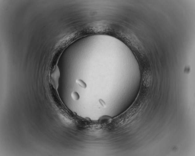 X0000098220740200805011234