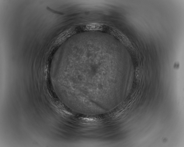 X0000098220741200805011234