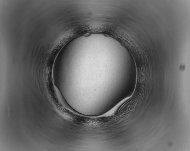 X0000098220742200805011234