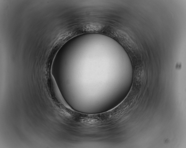 X0000098220743200805011234