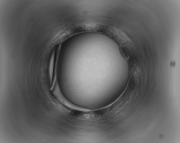 X0000098220744200805011234