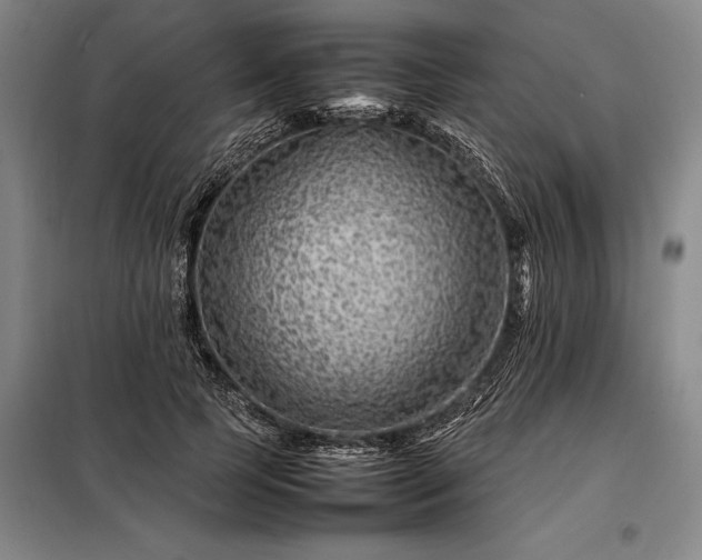 X0000098220745200805011234