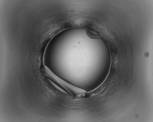 X0000098220746200805011234