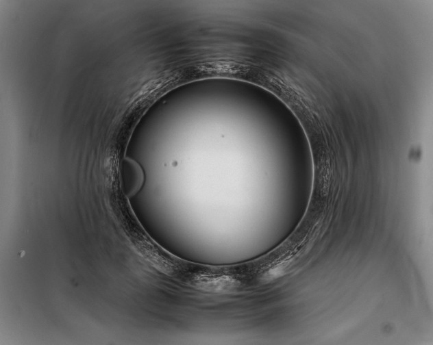 X0000098220747200805011234