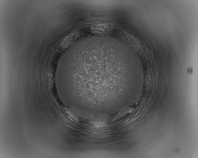 X0000098220749200805011234