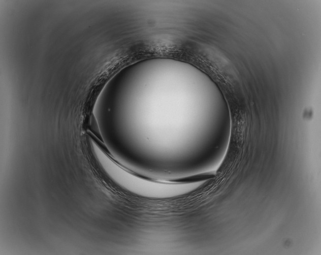 X0000098220750200805011234