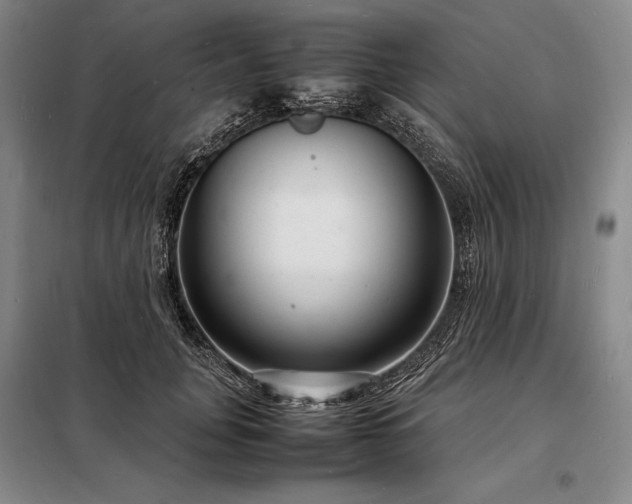 X0000098220751200805011234