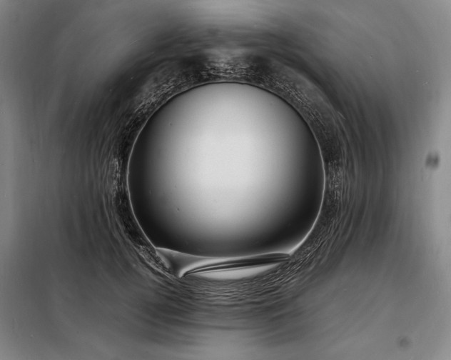 X0000098220752200805011234