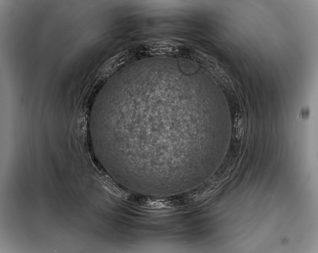 X0000098220753200805011234