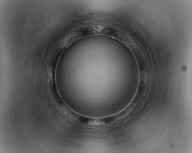 X0000098220754200805011234