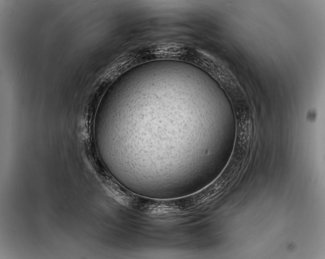 X0000098220755200805011234