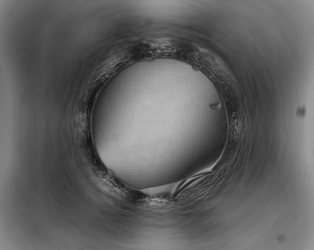 X0000098220756200805011234