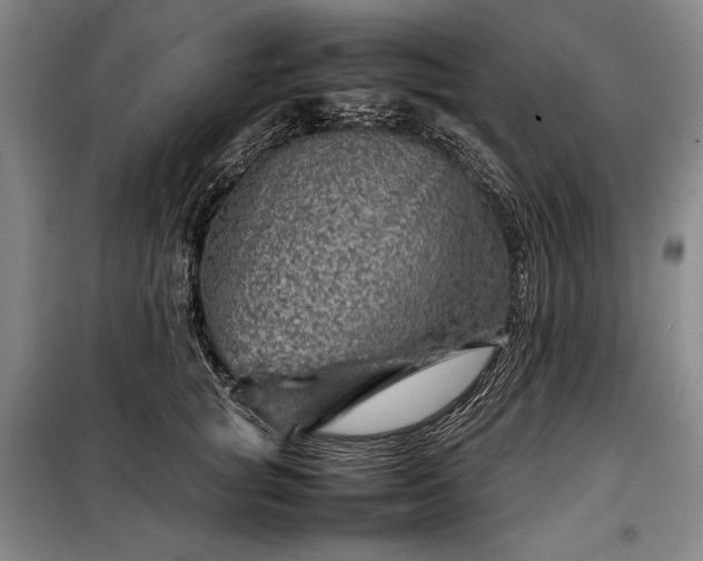 X0000098220757200805011234