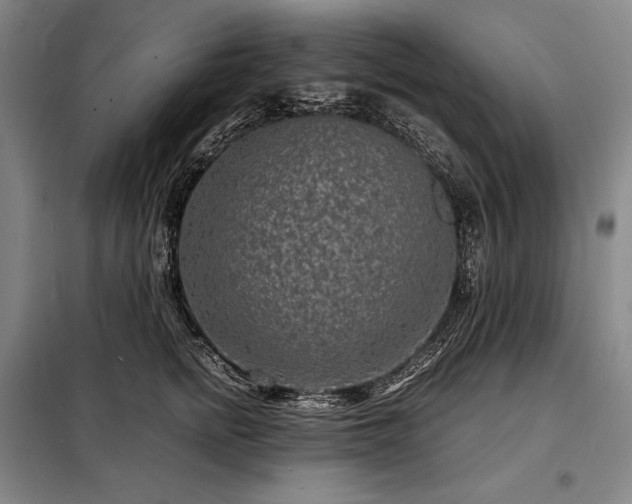 X0000098220758200805011234