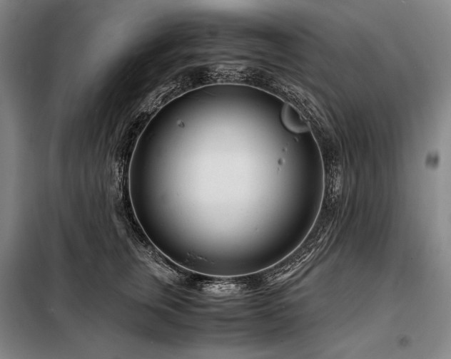 X0000098220759200805011234