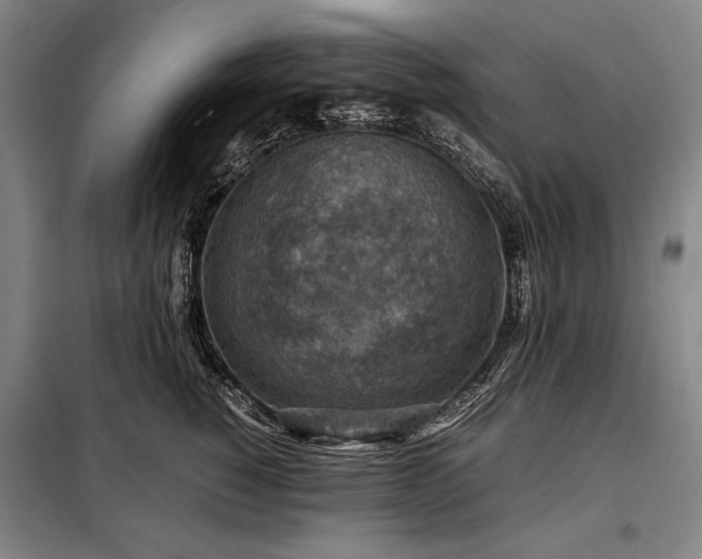 X0000098220760200805011234