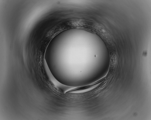 X0000098220762200805011234