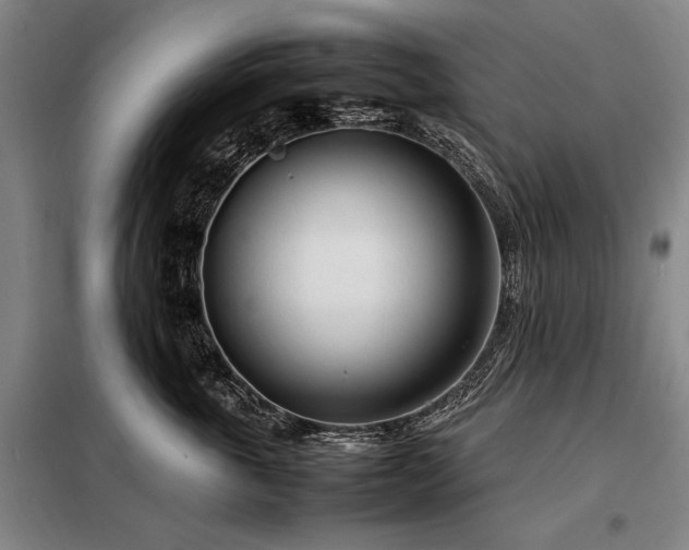 X0000098220763200805011234