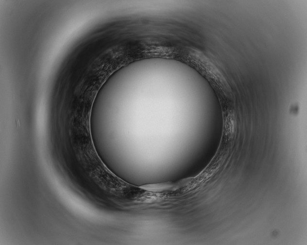 X0000098220764200805011234