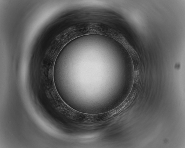 X0000098220765200805011234