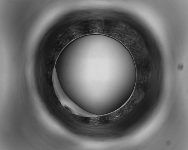 X0000098220766200805011234