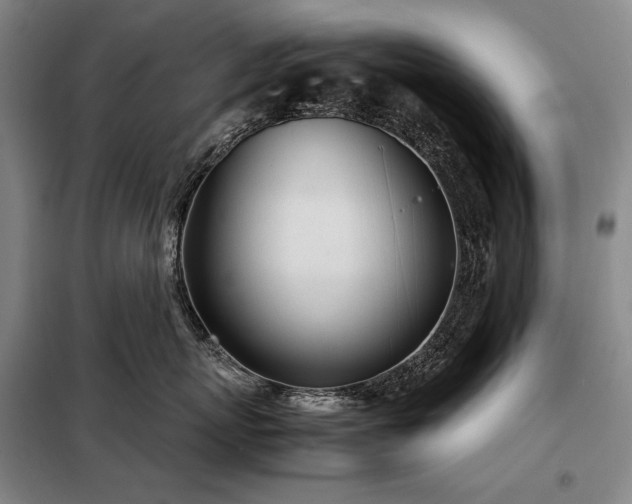 X0000098220767200805011234