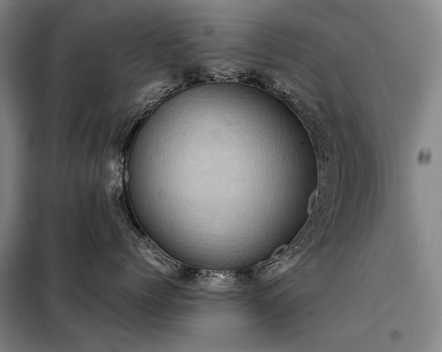 X0000098220768200805011234