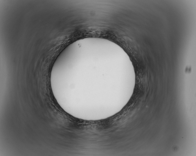 X0000098220769200805011233