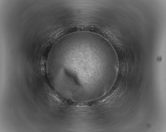 X0000098220770200805011233