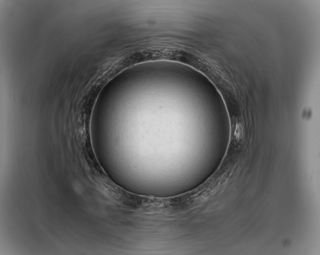 X0000098220771200805011233