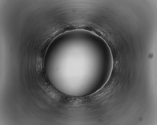 X0000098220772200805011233