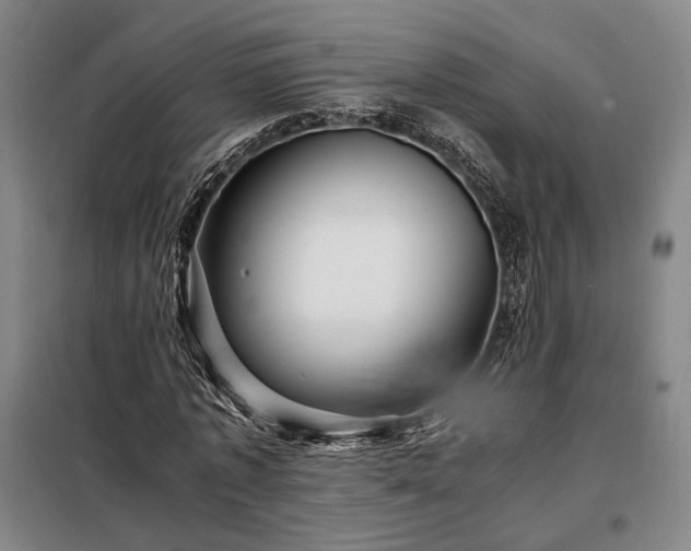 X0000098220773200805011233