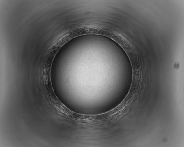 X0000098220774200805011233