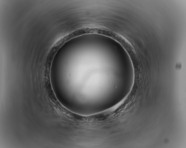 X0000098220775200805011233