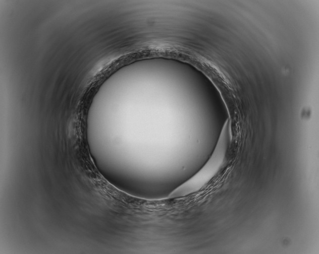 X0000098220776200805011233