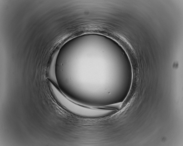 X0000098220777200805011233