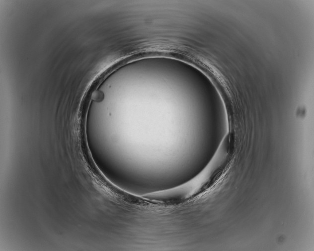 X0000098220779200805011233