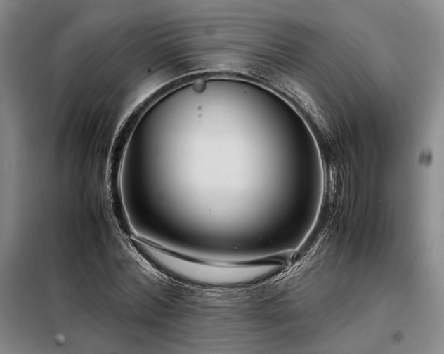 X0000098220780200805011233