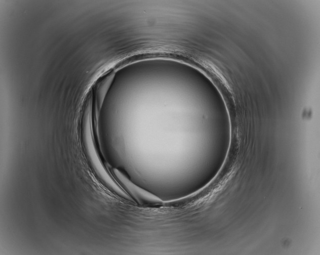 X0000098220781200805011233