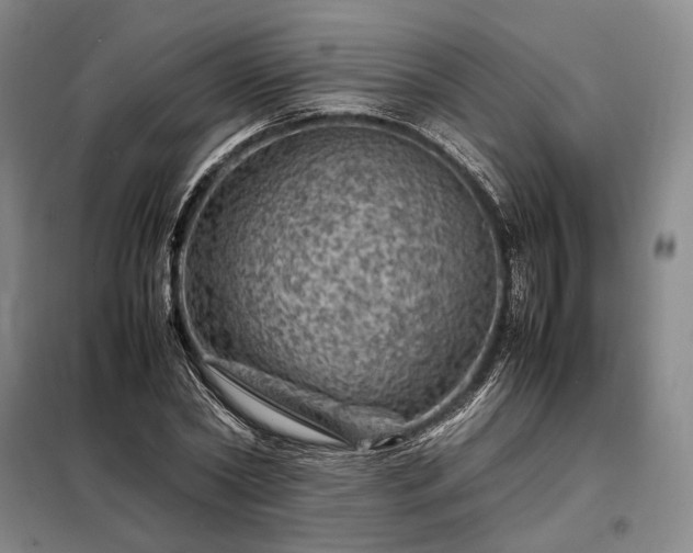 X0000098220782200805011233