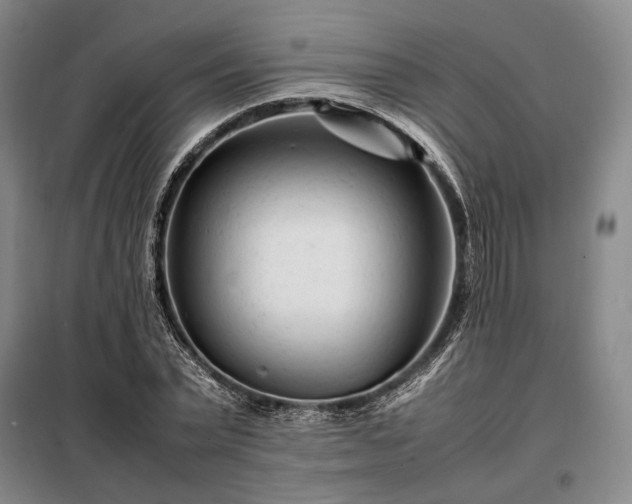 X0000098220783200805011233