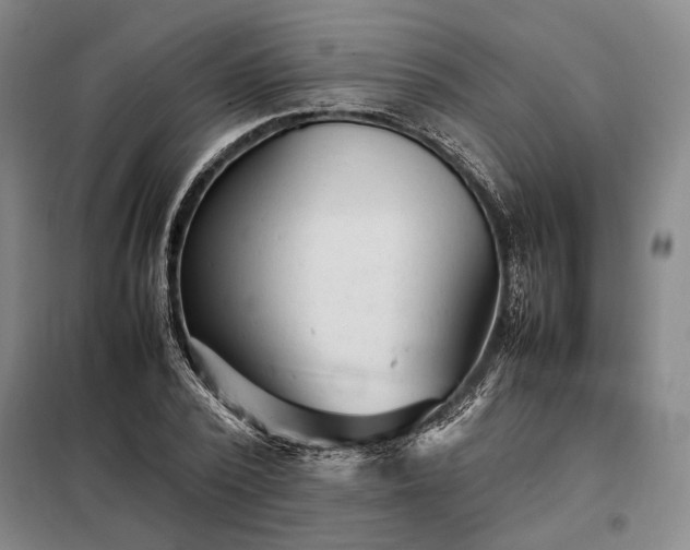 X0000098220784200805011233