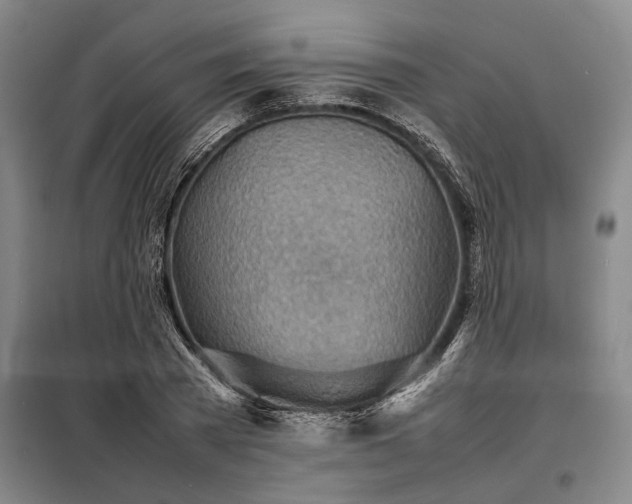 X0000098220785200805011233