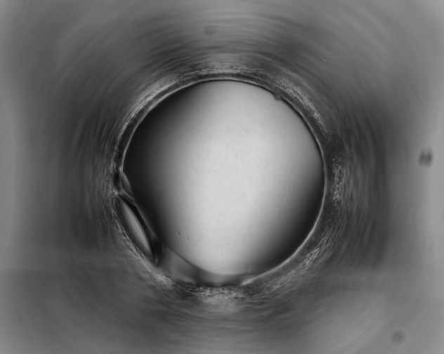 X0000098220786200805011233