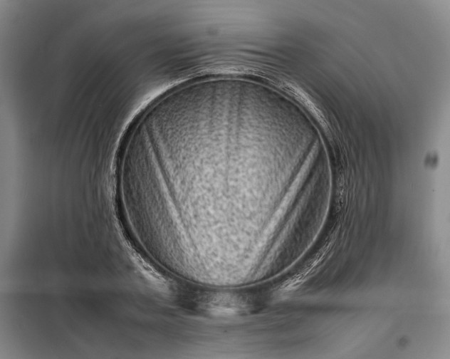 X0000098220787200805011233