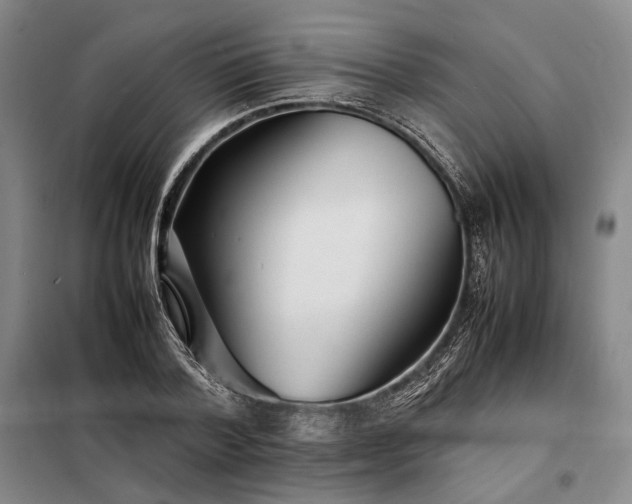 X0000098220788200805011233