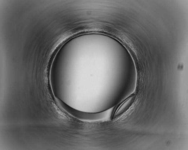 X0000098220789200805011233