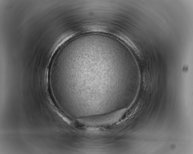 X0000098220790200805011233